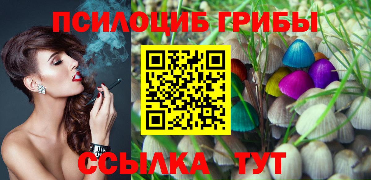 Галлюциногенные грибы Psilocybe Тихорецк